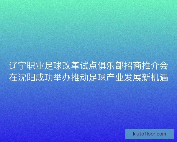 辽宁职业足球改革试点俱乐部招商推介会在沈阳成功举办推动足球产业发展新机遇