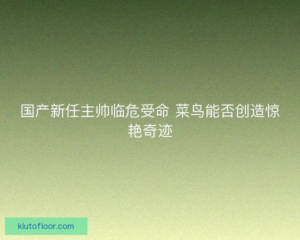 国产新任主帅临危受命 菜鸟能否创造惊艳奇迹