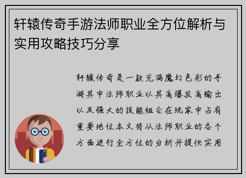 轩辕传奇手游法师职业全方位解析与实用攻略技巧分享